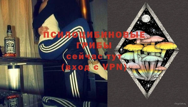 МДПВ Няндома