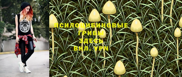 тгк Нязепетровск