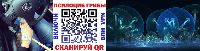 цены наркотик  Котлас  Галлюциногенные грибы ЛСД 