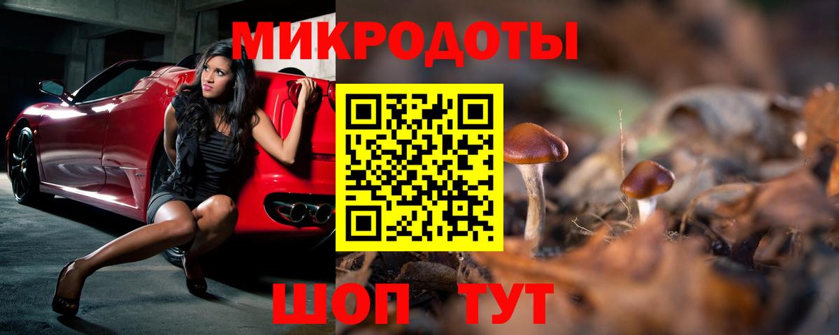 Котлас  Галлюциногенные грибы ЛСД  Галлюциногенные грибы Psilocybe  Вход с VPN 