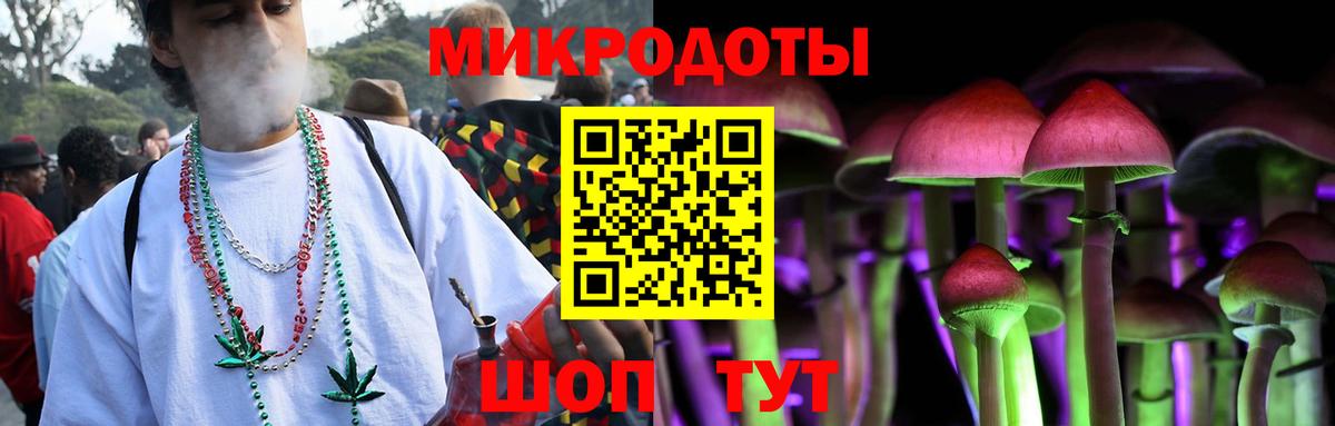 Псилоцибиновые грибы Magic Shrooms Котлас