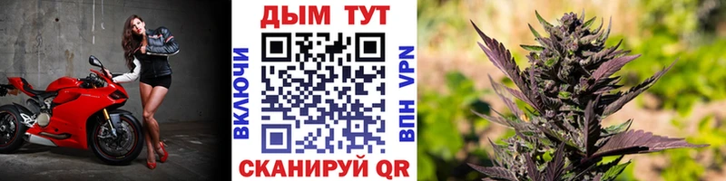 Канабис Amnesia  что такое наркотик  Котлас 